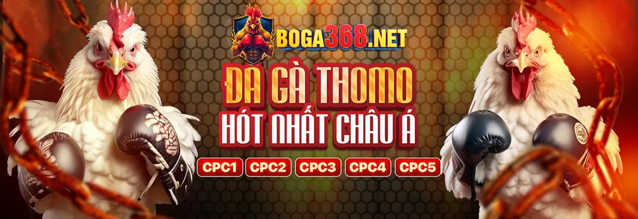 Sân đấu gà kịch tính tại iwin trang chủ chính thức